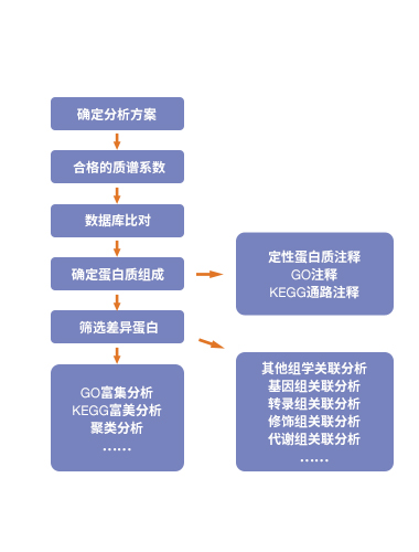 图8.jpg